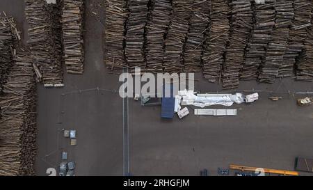 Leuna, Allemagne. 13 juillet 2023. Les bûches se trouvent dans une zone dégagée du parc chimique de Leuna. Au lieu du pétrole, la société finlandaise UPM souhaite produire des matériaux chimiques à partir du bois. Une coopération pour une veste polaire durable a déjà été établie avec la société de vêtements de plein air Vaude. (À dpa 'du bois au bois : sur le rêve de vêtements fonctionnels sans pétrole') crédit : Simon Kremer/dpa/Alamy Live News Banque D'Images