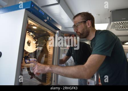 Leuna, Allemagne. 13 juillet 2023. Konrad Gebauer, responsable du développement des procédés chez UPM à Leuna, dans le laboratoire de la nouvelle bioraffinerie de Leuna. Au lieu du pétrole, la société finlandaise UPM souhaite produire des matériaux chimiques à partir du bois. Une coopération a déjà été établie avec la société de vêtements de plein air Vaude pour une veste polaire durable. (À dpa 'veste polaire en bois - du plan de vêtements fonctionnels sans pétrole') crédit : Simon Kremer/dpa/Alamy Live News Banque D'Images