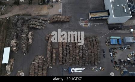 Leuna, Allemagne. 13 juillet 2023. Les bûches se trouvent dans une zone dégagée du parc chimique de Leuna. Au lieu du pétrole, la société finlandaise UPM souhaite produire des matériaux chimiques à partir du bois. Une coopération pour une veste polaire durable a déjà été établie avec la société de vêtements de plein air Vaude. (À dpa 'du bois au bois : sur le rêve de vêtements fonctionnels sans pétrole') crédit : Simon Kremer/dpa/Alamy Live News Banque D'Images