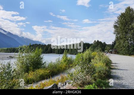 Le sentier Eagle Run à Brackendale, Squamish, Colombie-Britannique, Canada Banque D'Images