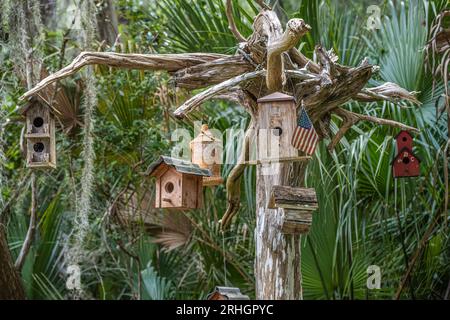 Nichoirs en bois suspendus à un arbre de bois flotté sur l'île de fort George à Jacksonville, en Floride. (ÉTATS-UNIS) Banque D'Images