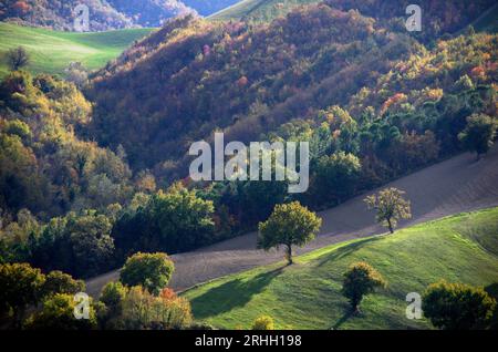 boschi e campi in autunno nel Montefeltro Banque D'Images