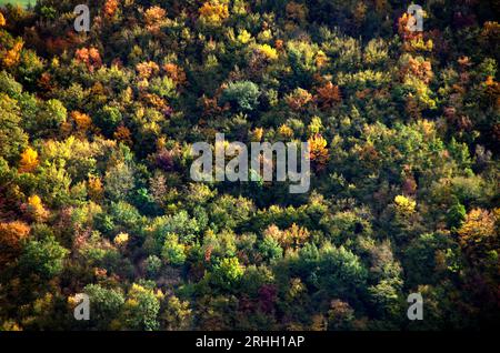 boschi e campi in autunno nel Montefeltro Banque D'Images