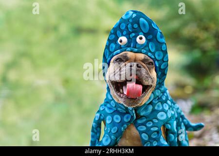 Drôle de chien Bulldog français portant le costume d'Halloween de poulpe Banque D'Images