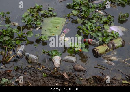 Poissons morts flottant dans un étang pollué par des déchets plastiques et des produits chimiques dans le vieux Dhaka, au Bangladesh Banque D'Images