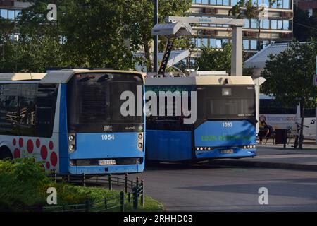 Bus de transport public sur une gare routière. Mélange d'anciens et de nouveaux bus électriques à Novi Sad, Serbie. Transport public par autobus. Banque D'Images