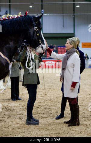 Sophie, duchesse de Wessex, au Shire Horse Society National Show 2019, dans son rôle de présidente de la Société Banque D'Images