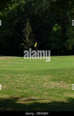 Poteau de drapeau jaune sur le terrain de golf vert avec des arbres en arrière-plan Banque D'Images