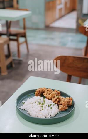 Portrait ou photo verticale et sélective d'une assiette de poulet frit avec du riz sur fond pastel vert sauge isolé Banque D'Images