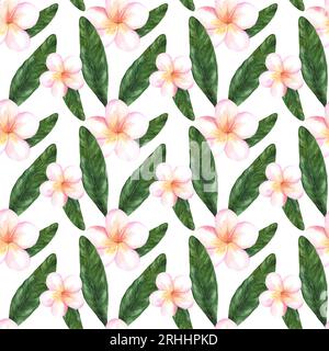 Motif sans couture aquarelle avec des fleurs de plumeria. Plantes et fleurs tropicales. Imprimé d'été pour tissu et scrapbooking Banque D'Images