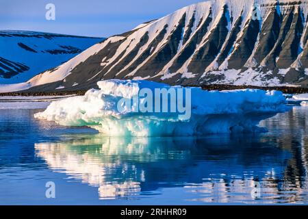 Banquise dans une baie sur le Svalbard Banque D'Images