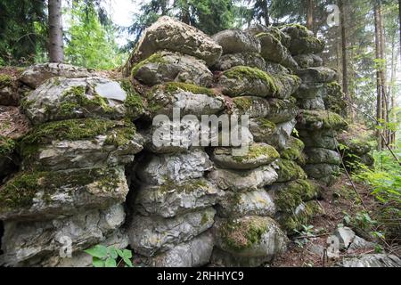 Des milliers de sacs fossilisés de ciment au dépôt de matériaux de construction près du complexe Wlodarz du projet Riese à Gluszyca, Pologne. En 1943 Allemagne nazie Banque D'Images