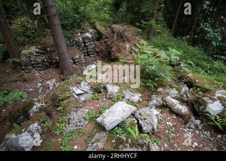 Des milliers de sacs fossilisés de ciment au dépôt de matériaux de construction près du complexe Wlodarz du projet Riese à Gluszyca, Pologne. En 1943 Allemagne nazie Banque D'Images