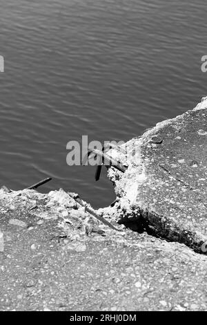 Barres d'armature exposées dépassant d'une dalle de béton cassée dans un monochrome noir et blanc. Banque D'Images