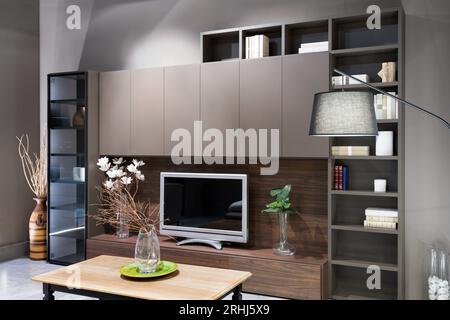 Design d'intérieur du salon moderne meublé avec téléviseur fleurs fleuries plante dans un vase sur des étagères de table centrale livres lumineux dans un emballage en tissu Banque D'Images