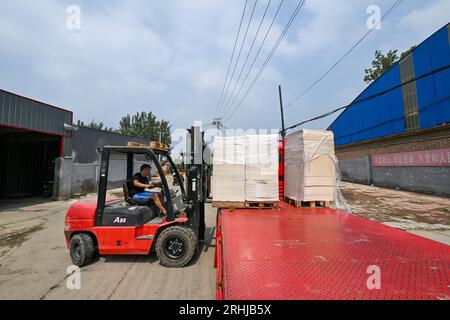 (230817) -- TIANJIN, 17 août 2023 (Xinhua) -- un ouvrier d'une entreprise de produits de papier transfère des matériaux et prépare la production dans le village de Shaoqidi de la municipalité de Huanghuadian, district de Wuqing, Tianjin du nord de la Chine, 17 août 2023. Au total, 15 011 personnes, le dernier groupe de personnes qui avaient été précédemment relocalisées de zones sujettes aux inondations par la rivière Yongding, sont rentrées jeudi dans leurs foyers dans 14 villages de Wuqing. À l'heure actuelle, l'approvisionnement en électricité, en eau et en gaz a été rétabli dans les villages, et l'évaluation et la reconstruction des installations endommagées sont en cours dans les zones locales. Banque D'Images