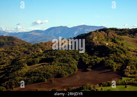 colline di Pietrarubbia con sullo sfondo il monte Nerone Banque D'Images