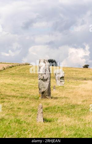 Pierres le long de l'avenue West Kennet, une ligne parallèle de pierres debout menant d'Avebury Henge et faisant partie du site du patrimoine mondial Banque D'Images