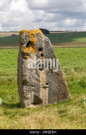 Pierres le long de l'avenue West Kennet, une ligne parallèle de pierres debout menant d'Avebury Henge et faisant partie du site du patrimoine mondial Banque D'Images