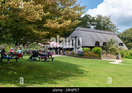 Furzey Gardens, une attraction touristique dans le parc national de New Forest, Hampshire, Angleterre, Royaume-Uni, en été. Les gens déjeunent dans l'aire de pique-nique Banque D'Images