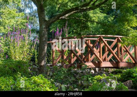 Furzey Gardens, une attraction touristique dans le parc national de New Forest, Hampshire, Angleterre, Royaume-Uni, en été Banque D'Images