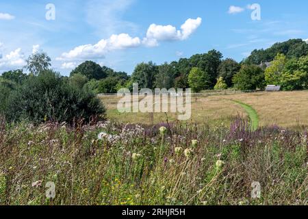 Furzey Gardens, une attraction touristique dans le parc national de New Forest, Hampshire, Angleterre, Royaume-Uni, en été. Vue sur le Centenary Meadow Banque D'Images