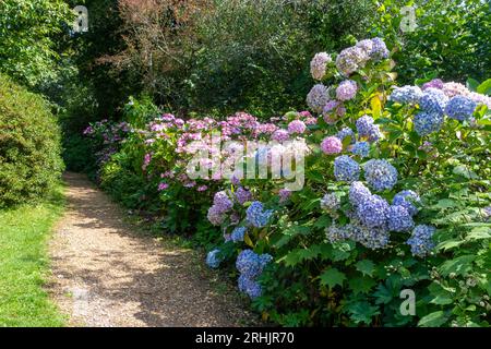 Furzey Gardens, une attraction touristique dans le parc national de New Forest, Hampshire, Angleterre, Royaume-Uni, en été Banque D'Images