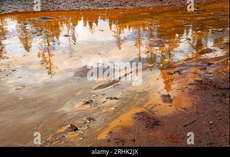 Réflexion dans la boue ocre - Kootenay NP, Canada Banque D'Images