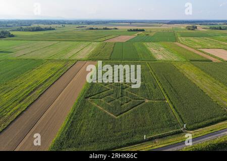 Zagreb, Croatie. 17 août 2023. Photo aérienne du premier labyrinthe de maïs de Posavina 'Hrvatica' dans le village Dubrovcak Lijevo près d'Ivanic-Grad, Croatie, le 17 août 2023. Le but du projet est de soutenir le développement durable du tourisme dans les zones rurales, et il offre aux visiteurs une expérience innovante et un contact direct avec la nature. Photo : Luka Stanzl/PIXSELL crédit : Pixsell/Alamy Live News Banque D'Images