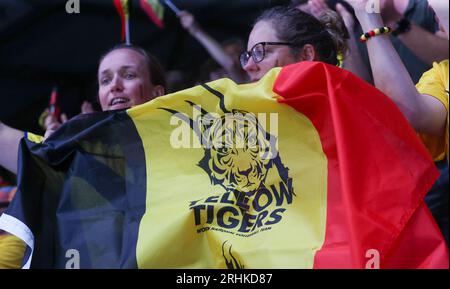Gand, Belgique. 17 août 2023. Supporters et supporters belges photographiés lors d'un match de volleyball entre la Hongrie et l'équipe nationale belge féminine de volleyball Tigres jaunes dans la phase de groupes des Championnats d'Europe féminins 2023, jeudi 17 août 2023 à Gand. Les Championnats d'Europe féminins 2023 ont lieu du 15 août au 3 septembre. BELGA PHOTO VIRGINIE LEFOUR crédit : Belga News Agency/Alamy Live News Banque D'Images