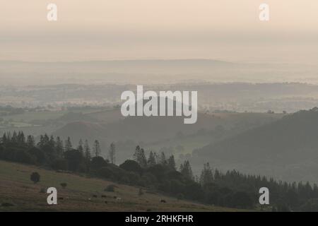 Affleurements de quartzite et vues brumeuses depuis la réserve naturelle nationale de Stiperstones, Shropshire, Angleterre, Royaume-Uni Banque D'Images