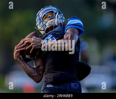 Broward Bulldogs v Browns, 5-27-2023, fort Lauderdale, États-Unis, photo : Chris Arjoon/Credit Banque D'Images