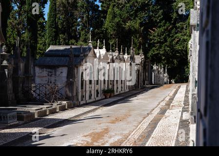 Lisbonne Portugal. 08/2023 17 : vue sur le cimetière de Prazeres est un cimetière catholique, c'est le plus grand cimetière de Lisbonne, créé en 1833. Banque D'Images