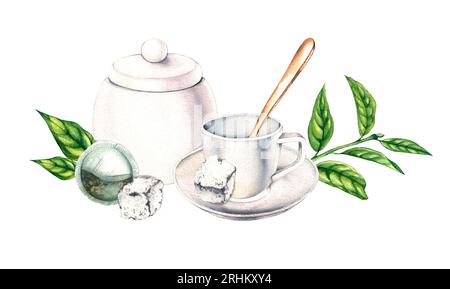 Composition à l'aquarelle d'ustensiles pour boire du thé avec une plante de thé sur fond blanc pour la conception d'une carte postale, menu, restaurant, emballage, labe Banque D'Images