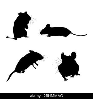 Quatre silhouette de rat ensemble isolé sur fond blanc. Illustration de Vecteur