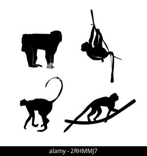 Quatre silhouette de singe ensemble isolé sur fond blanc. Illustration de Vecteur