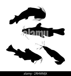 Quatre silhouette de poisson-chat ensemble isolé sur fond blanc. Illustration de Vecteur