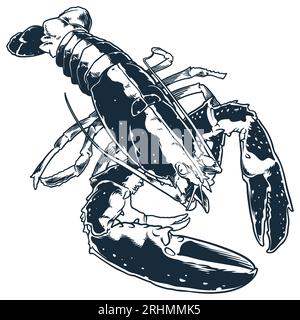 Vecteur de dessin de gravure de homard d'animal de fruits de mer. Esquisse à la main style vintage. Nourriture animal océan mer isolé sur fond blanc. Illustration de Vecteur