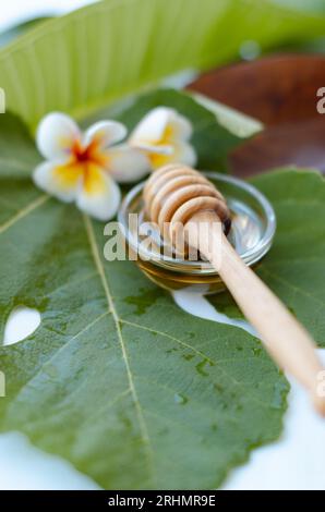 Cuillère à miel avec du miel et une fleur de frangipanier Banque D'Images