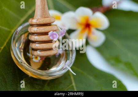 Cuillère à miel avec du miel et une fleur de frangipanier Banque D'Images