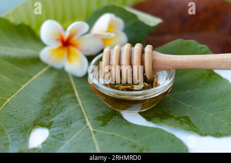 Cuillère à miel avec du miel et une fleur de frangipanier Banque D'Images