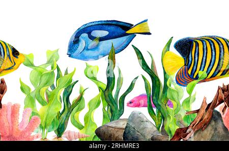 Aquarelle dessinant la frontière sans couture des algues de ruban, pierres de fond, corail, poisson chirurgien, poisson ange royal, poisson frideman, carapace conique et accroc Banque D'Images