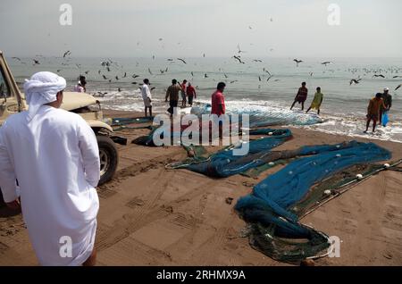 Émirats arabes Unis, Sharjah, plage de Kalba, pêche au filet de plage. Banque D'Images