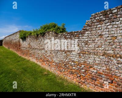Mur de jardin en ruine. Old Tudor, jardin clos, Basing House, Old Basing, Basingstoke, Hampshire, Angleterre, Royaume-Uni, GB. Banque D'Images