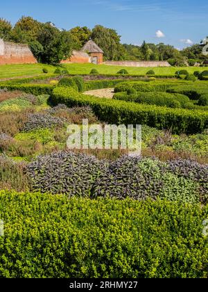 Hedge Garden, Old Tudor, jardin clos, Basing House, Old Basing, Basingstoke, Hampshire, Angleterre, Royaume-Uni, GB. Banque D'Images