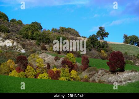 colline del Montefeltro nei caldi colori autunnali Banque D'Images