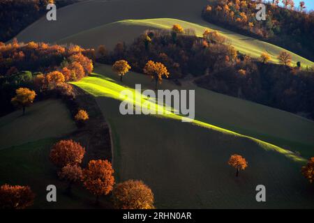 colline del Montefeltro nei caldi colori autunnali Banque D'Images