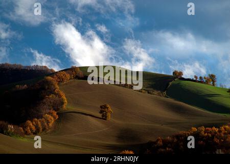 colline del Montefeltro nei caldi colori autunnali Banque D'Images