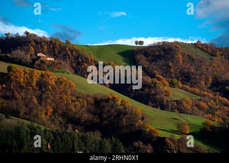 colline del Montefeltro nei caldi colori autunnali Banque D'Images