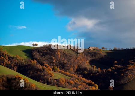 colline del Montefeltro nei caldi colori autunnali Banque D'Images